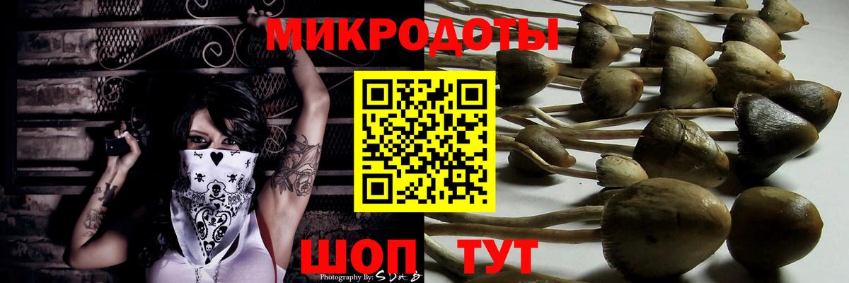 Псилоцибиновые грибы Magic Shrooms  Вход с VPN  Кропоткин 